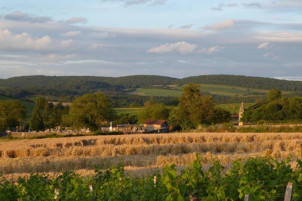 Le Coeur Du Lys Villa Chissey-les-Macon Dış mekan fotoğraf